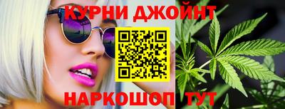 сатива Бузулук