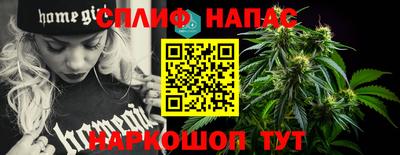 сатива Бузулук