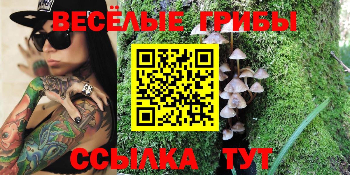 Саров  Псилоцибиновые грибы Magic Shrooms  Вход с VPN 